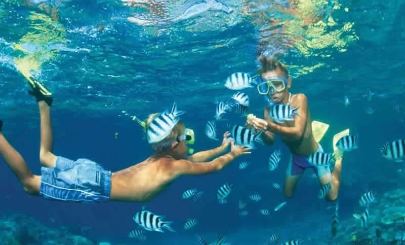 Ras Mohammed Snorkeling, Egypt Ras Mohammed Snorkeling, Egypt